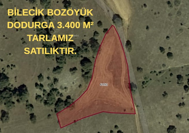 BİLECİK BOZÖYÜK DODURGA 3.400 M² TARLAMIZ SATILIKTIR. - BİLECİK BOZÜYÜK fotoğraf 5